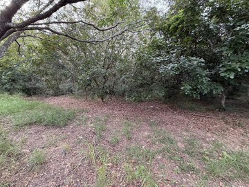 燕巢近橋科園區+國1交流道｜都內農地形方正125坪｜高雄市燕巢區安東段