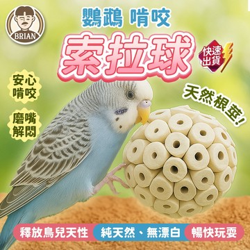 鸚鵡啃咬索拉球【布萊恩👨🏻隔日到貨】鸚鵡耐咬玩具 鳥類磨牙玩具 鳥類用品 鸚鵡啃咬用品 鸚鵡解悶玩具 鳥類玩具