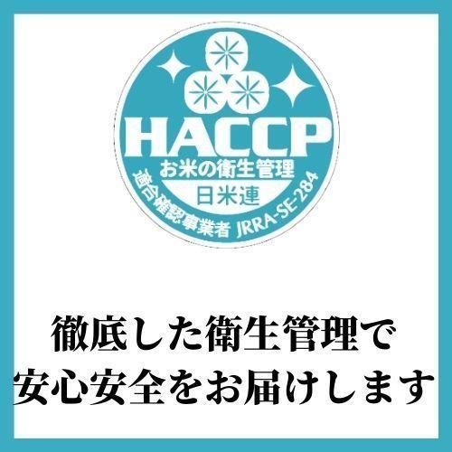 令和5年産　お米　ミルキークイーン　白米　精米　10kg　しづくのしずく