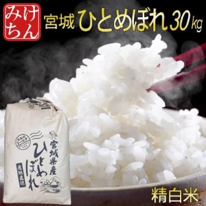 令和5年産　宮城県産ひとめぼれ 精白米30kg