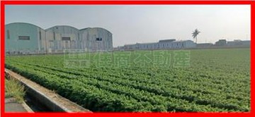 ❤️近新吉工業區三角窗方正農地❤️｜台南市安定區新吉