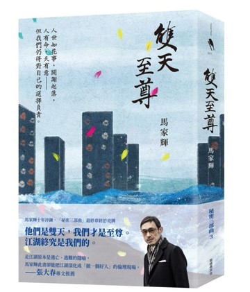雙天至尊[二手書_良好]