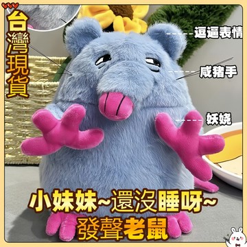 🎀台出🧨 披薩塔鼠玩偶 小妹妹老鼠 惡搞語音老鼠 發聲老鼠 比薩塔老鼠 毛絨玩具 公仔披薩鼠 玩偶 發聲可錄音 生日禮物