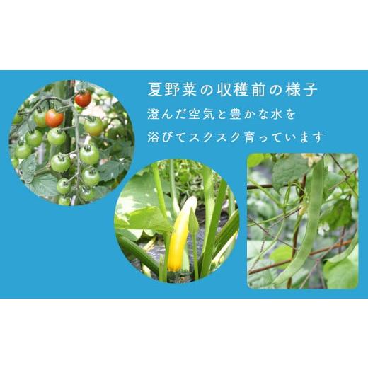 ふるさと納税 岡山県 西粟倉村 西粟倉産 「旬の野菜 おまかせセット」 F-FF-B01A