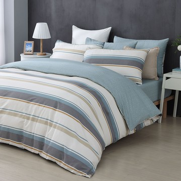 雙人兩用被套特大床包組/ 100%精梳純棉 / 純棉 / 艾蒙 [鴻宇] 台灣製 - C20138