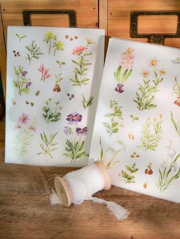 花開的樣子 轉印貼紙(2入)