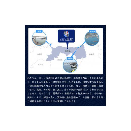 ふるさと納税 鳥取県 北栄町 ６６６．足1本なし松葉ガニ　特大1枚（900g〜1kg前後）※2023年11月〜2024年3月に順次発送予定《かに …