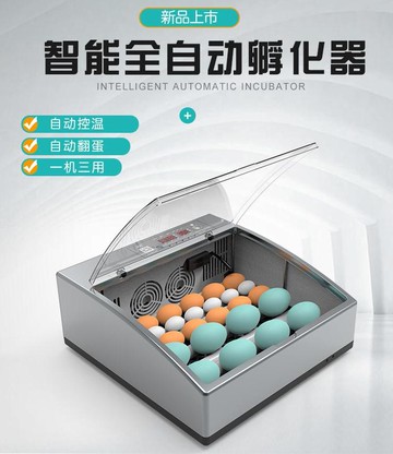 孵化器雞鴨鸚鵡蛋孵蛋器孵化機小型家用型全自動智能蘆丁雞孵化箱110V  森馬先生旗艦店