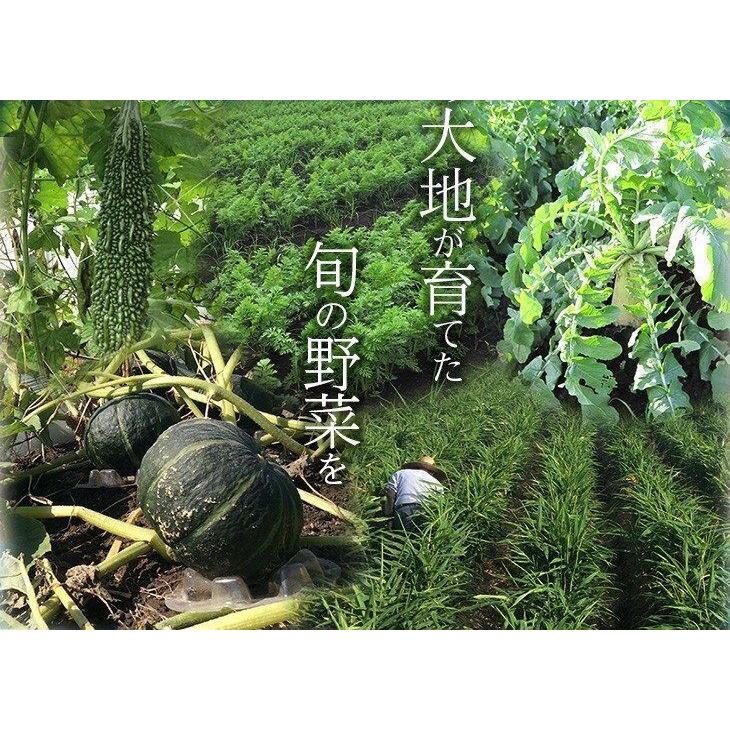 食品 こだわり旬の野菜詰合せセット ９種類 宅配サービス 送料無料