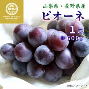   ピオーネ 1房 約600g ぶどう ブドウ 葡萄 山梨県 長野県産ほか フルーツ  夏ギフト 御中元 お中元