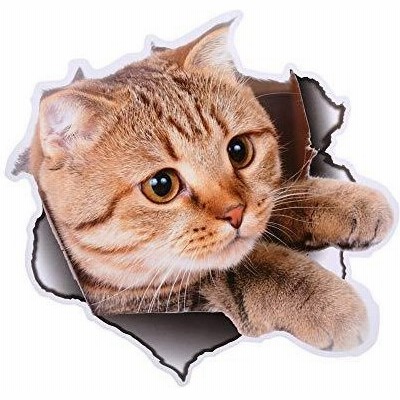 猫 犬 壁紙の通販 126件の検索結果 Lineショッピング