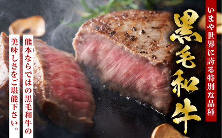 熊本県産 黒毛和牛 サーロイン ステーキ 2枚 約400g肉 牛肉 ロース ステーキ A4 A5 国産 黒毛和牛 九州産 熊本県産 サーロイン  [ZDQ041]