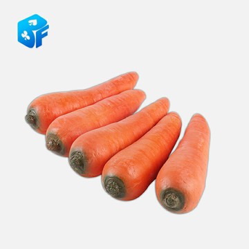 舞臺魔術 橡膠仿真胡蘿卜 消失出現的胡蘿卜空手出胡蘿卜高質量