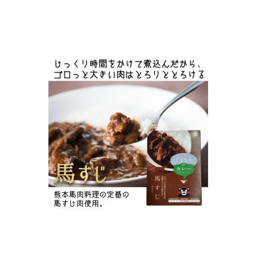 ふるさと納税 熊本県 甲佐町 くまもとのカレー2種セット