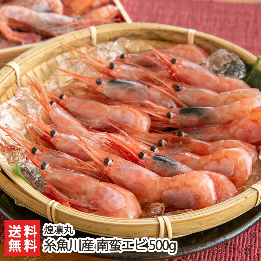 糸魚川産 南蛮エビ 500g えび 海老 煌凛丸 のし無料 送料無料