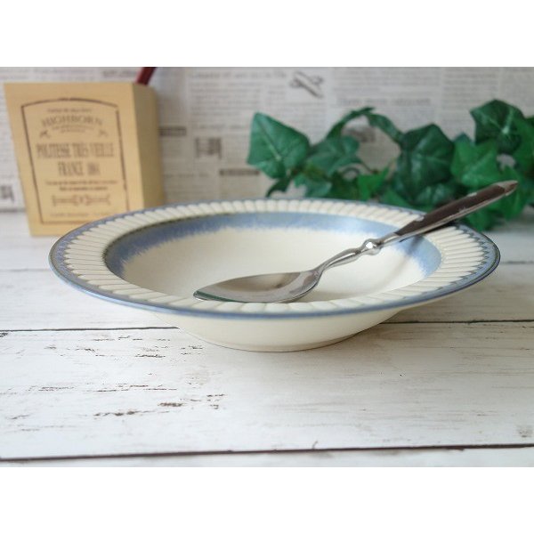 パスタ皿 スープ皿 カフェ風 リム シチュー皿 サイネリア 21cm カレー皿 小さめ おしゃれ 北欧風 食洗機対応 レンジ可 モダン レリーフ インスタ映え 通販 Lineポイント最大0 5 Get Lineショッピング