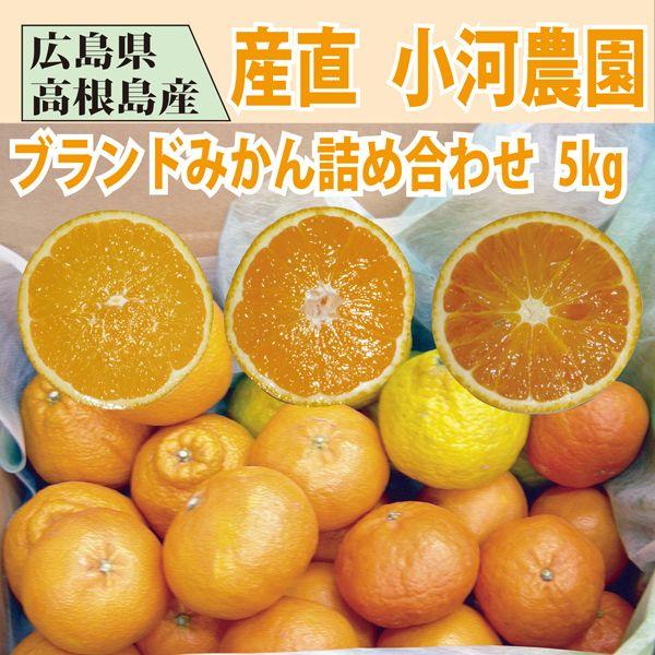 おがわ農園 みかん おまかせセット 5kg 1〜3品種入り