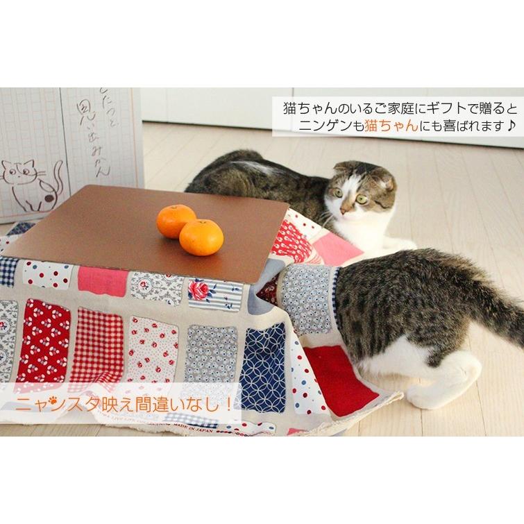 猫と、こたつと、思い出みかん 日本初猫専用こたつ付(段ボール製) 和歌山ミカン 3kg入 保護猫 有田みかん 天田 土生