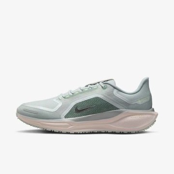 Nike 耐吉 Air ZM Pegasus 41 GTX [FQ1356-007] 男 慢跑鞋 防水 反光 淺灰綠
