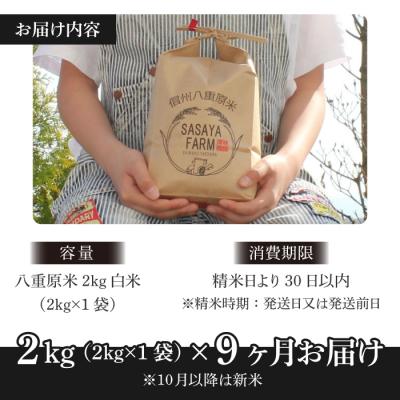 ふるさと納税 東御市 八重原米 精米 2kg (2kg×1袋)