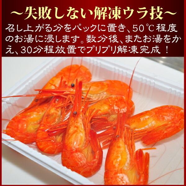 シマエビ Lサイズ 500g ×2パック 計1kg しまえび 特選 北海シマエビ しま海老 北海道 エビ えび 父の日