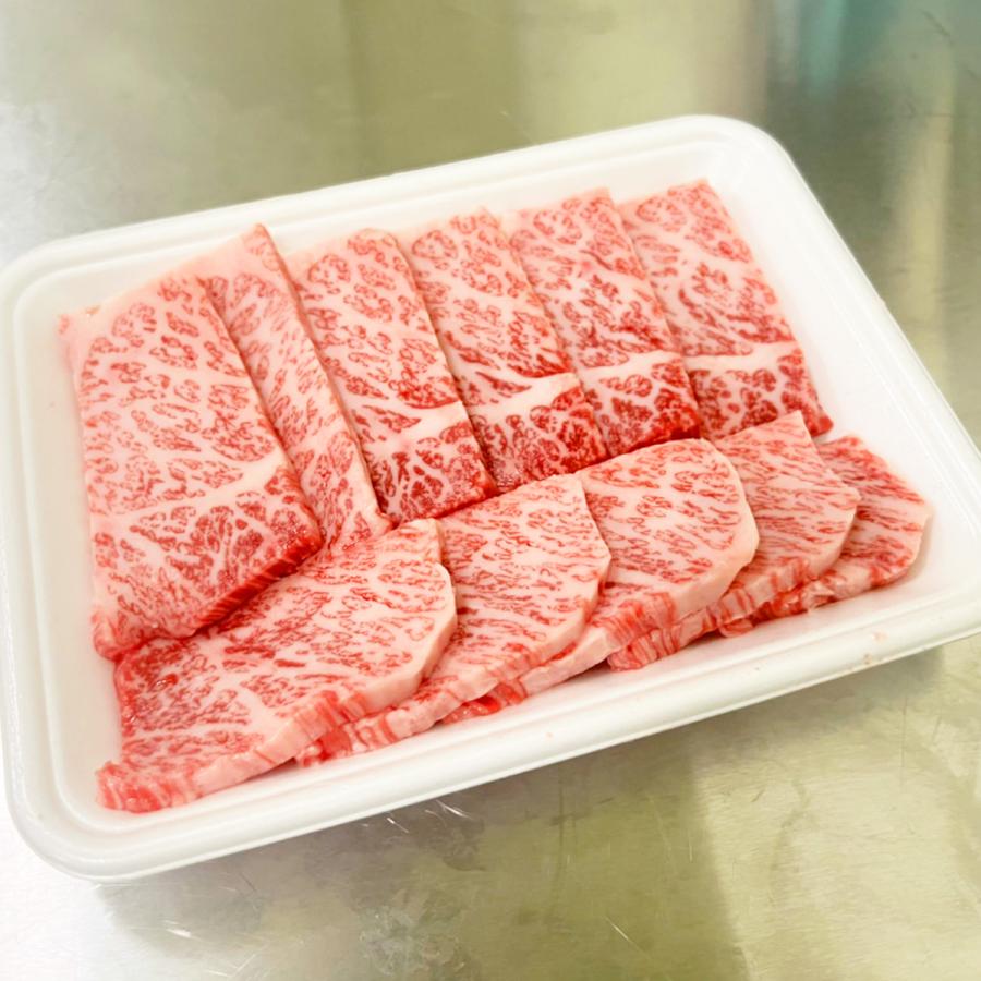 佐賀牛 おまかせ焼肉セット3種盛り 600g(200g×3パック) 3〜5名様用 カルビ・モモ・ウデ・ロースなど 送料無料