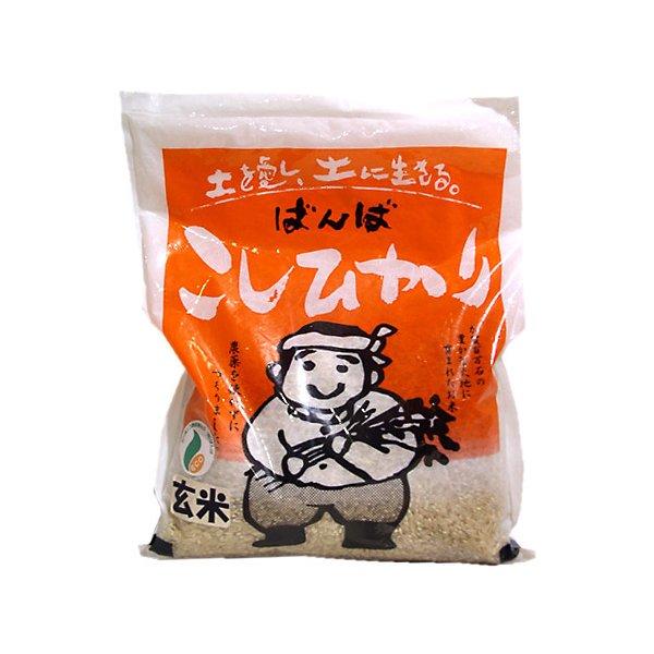 こしひかり　玄米　1kg