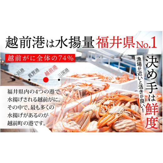 ふるさと納税 福井県 越前町 [e15-x007_02] 「訳あり 指折れ 越前がに（中）3杯」  「干しカレイ 6尾」 食べ方しおり かにスプーン付き【雄 ズワイガニ ずわい…