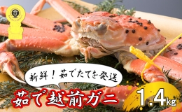 茹で越前ガニ食通もうなる本場の味をぜひ、ご堪能ください。約1.4kg以上 越前がに 越前かに 越前カニ カニ ボイルガニ