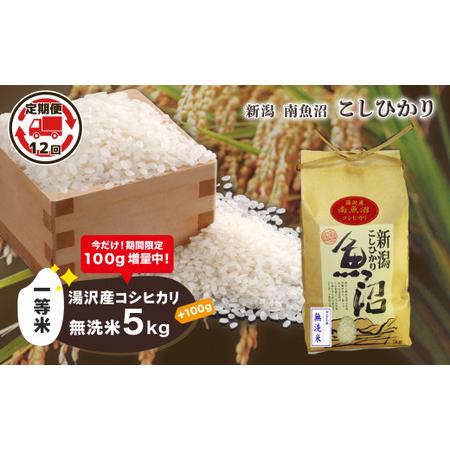 ふるさと納税 令和5年産 湯沢産コシヒカリ＜無洗米＞5kg 精米したてのお米をお届け  新潟県湯沢町