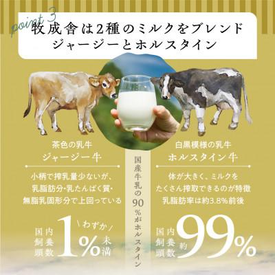 ふるさと納税 飛騨市 飛騨の牛乳屋・牧成舎の飛騨産生乳100%と砂糖のみで作った飲むヨーグルト3本