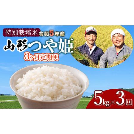 ふるさと納税 令和5年産 新米 特別栽培米 山形つや姫 定期便 精米5kg×3ヶ月 鶴岡ファーマーズ 山形県鶴岡市