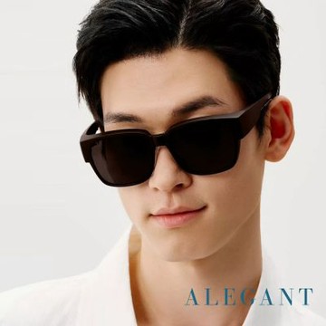 ALEGANT休閒時尚星曜棕方框全罩式防曬偏光墨鏡/外掛式UV400太陽眼鏡/包覆套鏡