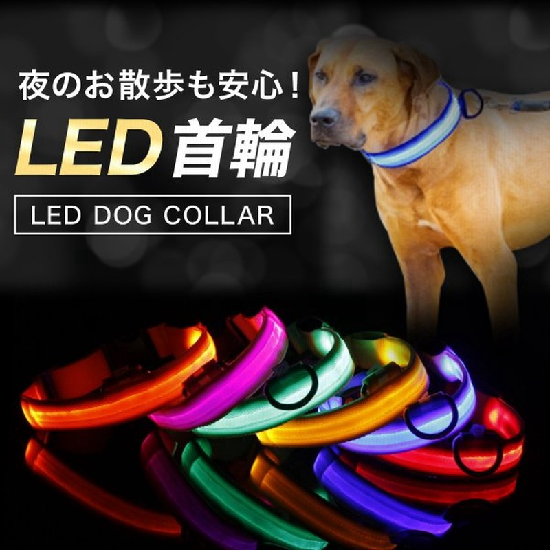 犬 首輪 光る Led おしゃれ かわいい 軽量 中型 大型 小型 充電不要 通販 Lineポイント最大0 5 Get Lineショッピング