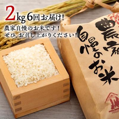 ふるさと納税 立科町 信州立科町産コシヒカリ(2kg×6回発送)