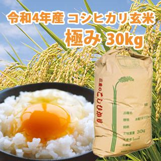 令和5年産  コシヒカリ  良質米「極み」玄米 30kg 三重県産 米 コメ お米 30キロ こしひかり