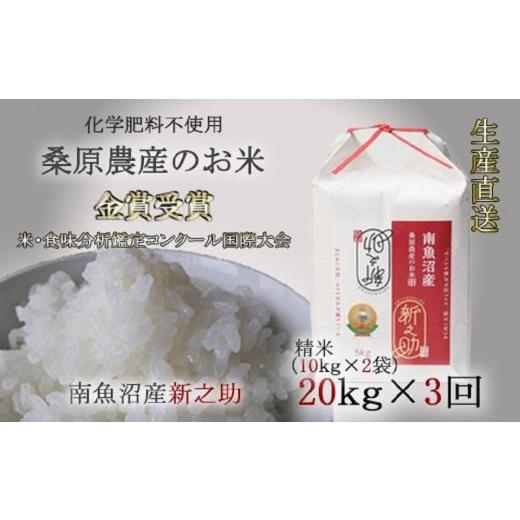 ふるさと納税 新潟県 南魚沼市 （新米予約）桑原農産のお米20kg(10kg×2)×3カ月　南魚沼産新之助