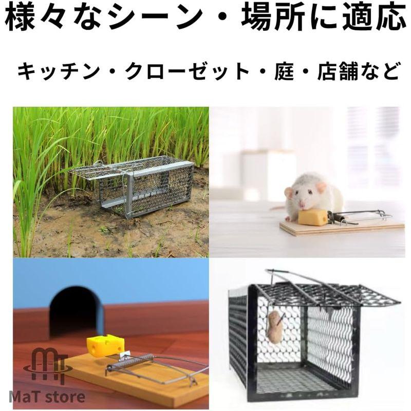 MaT store ねずみ捕り ねずみ捕獲 かご 駆除 角型 小動物 保護 室内 屋外 罠 簡単設置