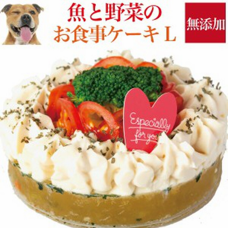 犬用 ケーキ 元気なお魚 ケーキ L 無添加 誕生日 犬用ケーキ 冷凍 配送 通販 Lineポイント最大1 0 Get Lineショッピング