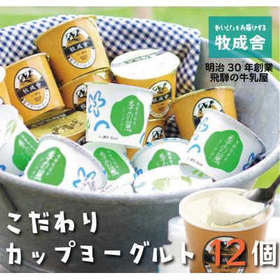 ふるさと納税 飛騨市 飛騨の牛乳屋・牧成舎のこだわりカップヨーグルト12点セット