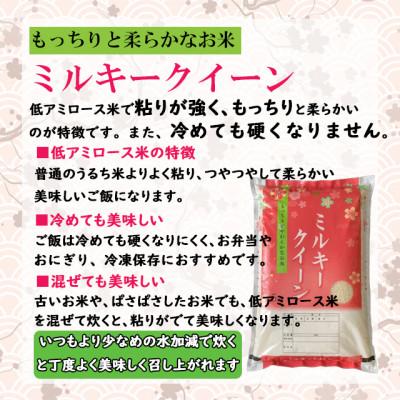 ふるさと納税 西郷村 ミルキークイーン精米5kg　一等米!