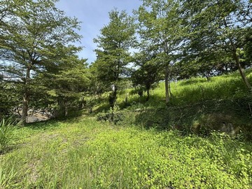 《妍選》霧峰桐林逸園｜農牧用地｜低總價享受田園慢活｜台中市霧峰區霧峰段北溝小段