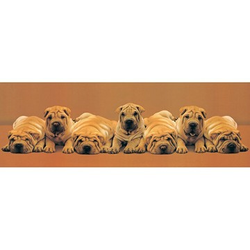 P2 - 沙發狗愛睡覺 954片拼圖 HM954-045