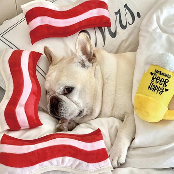 【狗狗玩具 Clive & Bacon美食 2件組】寵物  啾啾聲 抗憂解壓