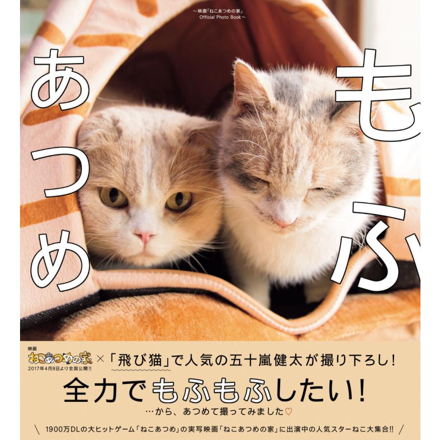 もふあつめ 映画 ねこあつめの家 Official Photo Book