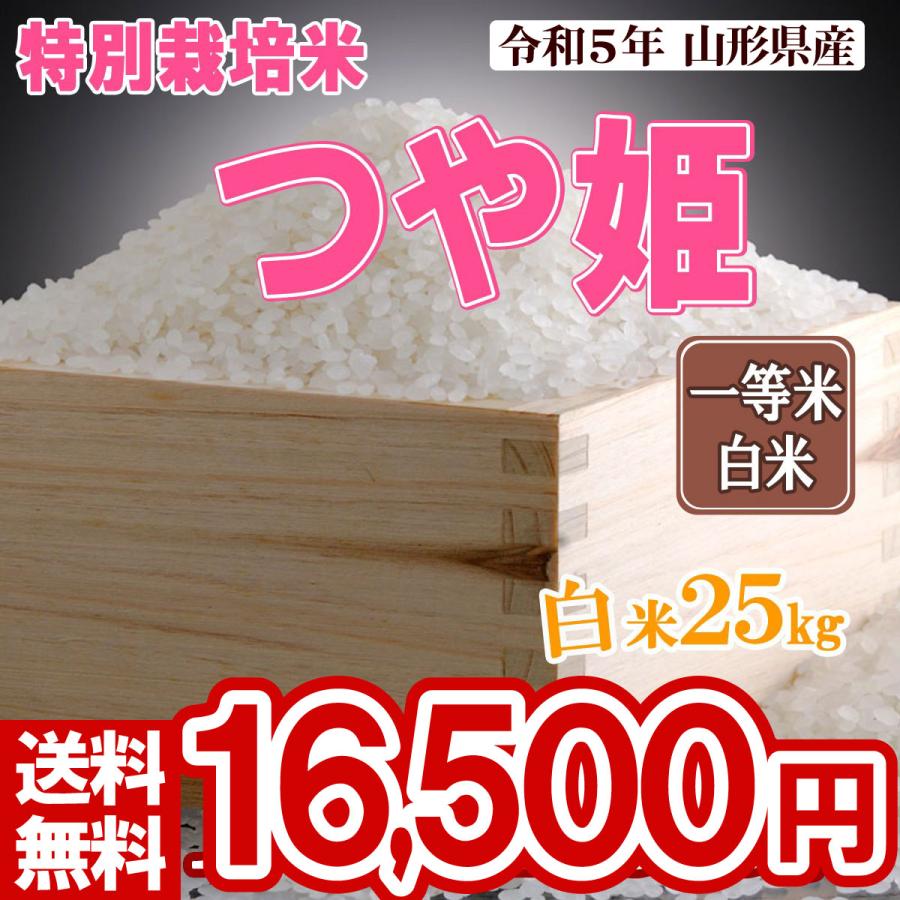 白米 25kg (5kg×5) 山形県産 特別栽培米 つや姫 米 お米 精米済 令和5年（送料無料）