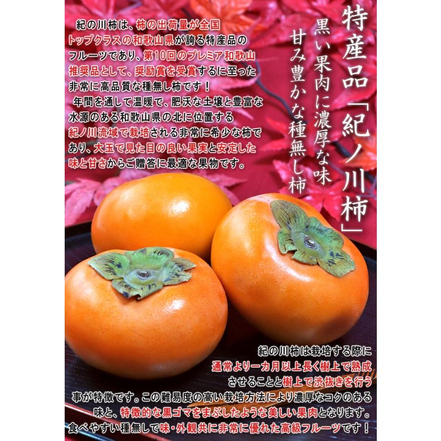 紀ノ川柿 たねなし柿 約3.5kg 12〜18玉 和歌山県産 贈答規格 JA共撰品・センサー選果品 黒蜜を思わせる濃厚な甘さ！樹上で完熟した大玉フルーツ