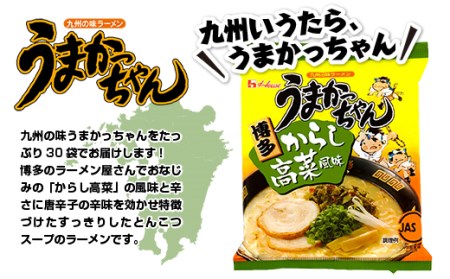 うまかっちゃん からし高菜風味 合計30袋（5袋×6P）ラーメン とんこつラーメン とんこつ 袋ラーメン　TY024