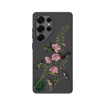 Galaxy S25 Ultra SolidSuit 黑 - The British Library - 美洲鳥譜 ‧ 哥倫比亞蜂鳥