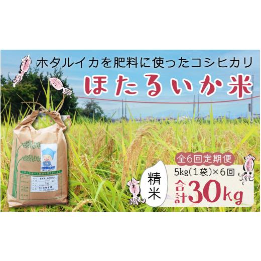 ふるさと納税 富山県 滑川市 ほたるいか米（精米５kg）×6回 計30kg